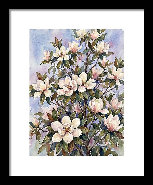 Magnolia Blossoms In Bloom