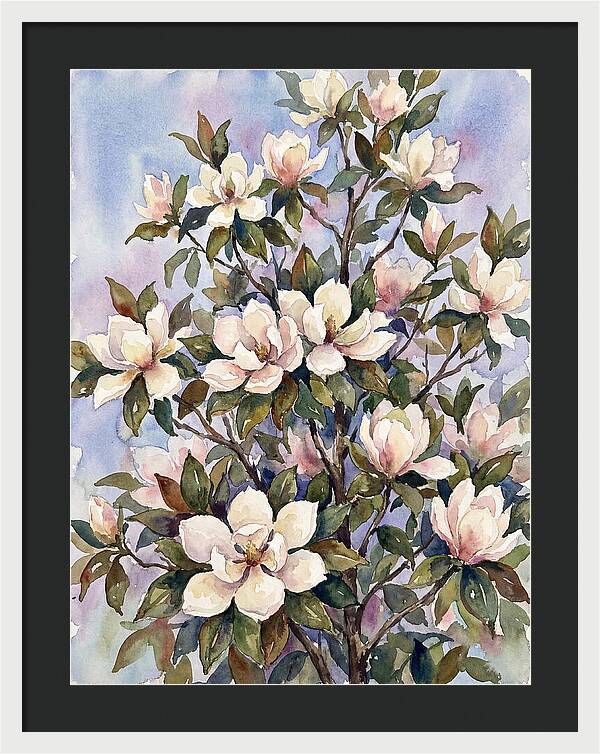 Magnolia Blossoms In Bloom