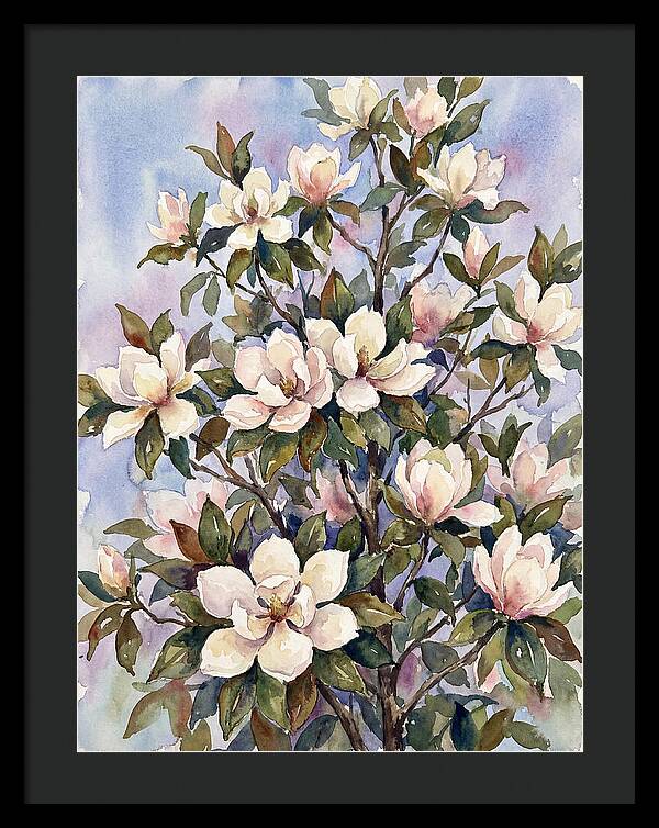 Magnolia Blossoms In Bloom