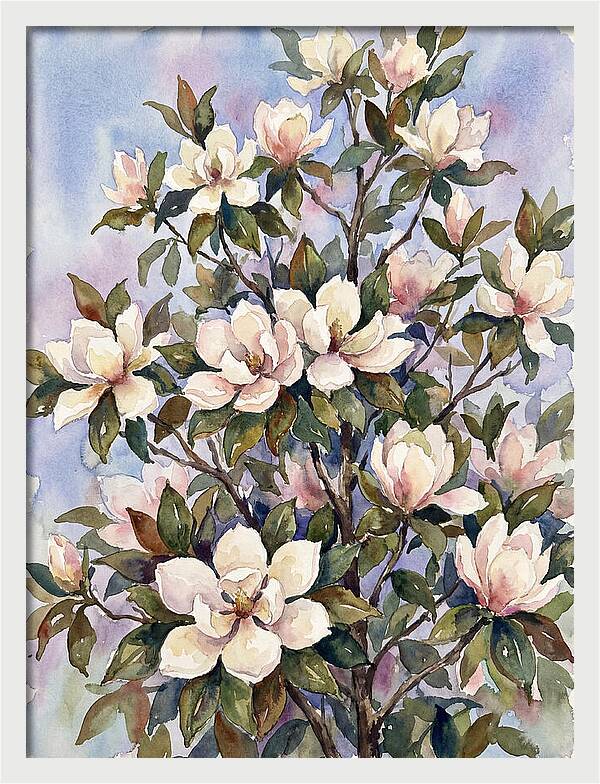 Magnolia Blossoms In Bloom