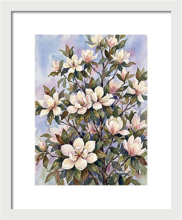 Magnolia Blossoms In Bloom