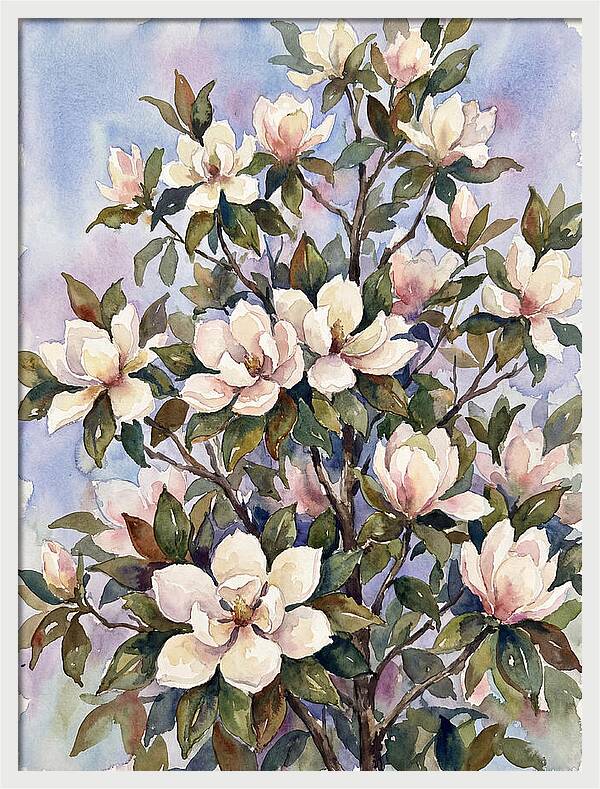 Magnolia Blossoms In Bloom