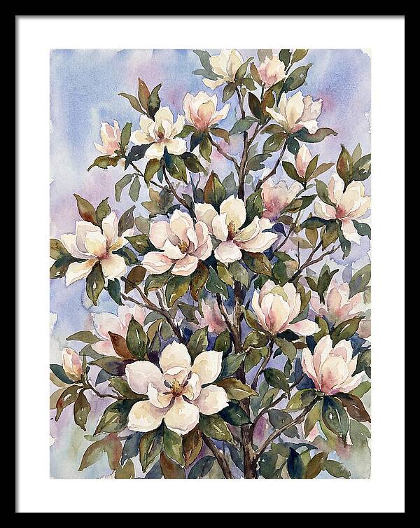 Magnolia Blossoms In Bloom