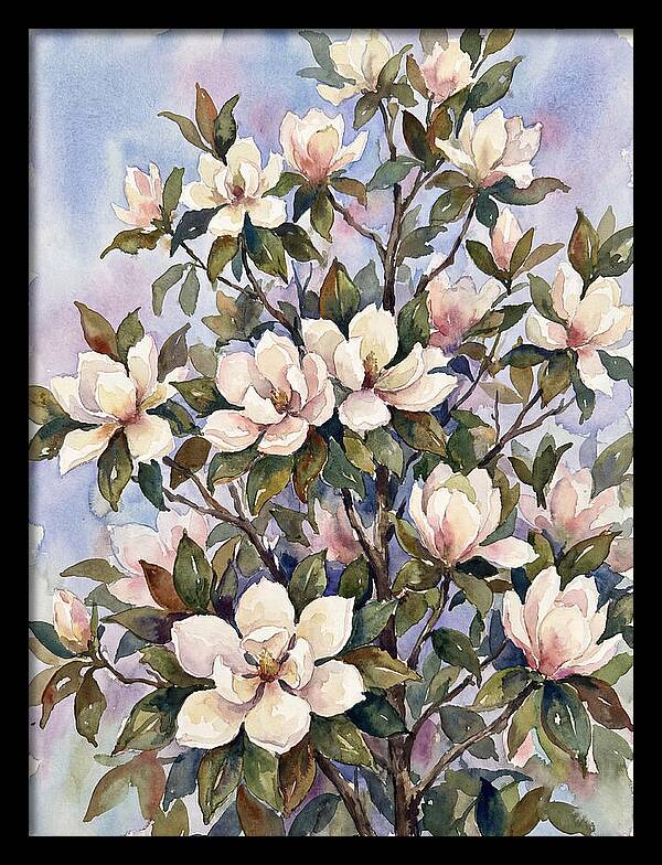 Magnolia Blossoms In Bloom