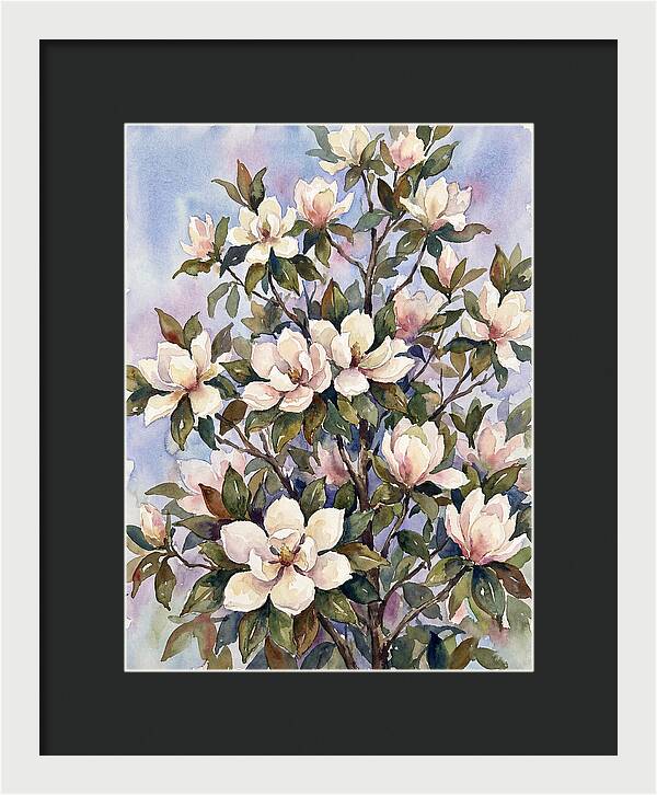 Magnolia Blossoms In Bloom