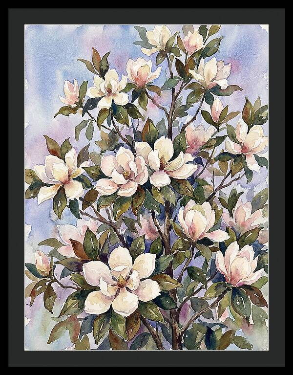 Magnolia Blossoms In Bloom