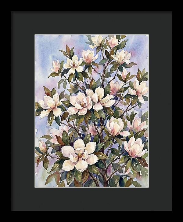 Magnolia Blossoms In Bloom