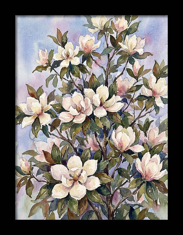 Magnolia Blossoms In Bloom