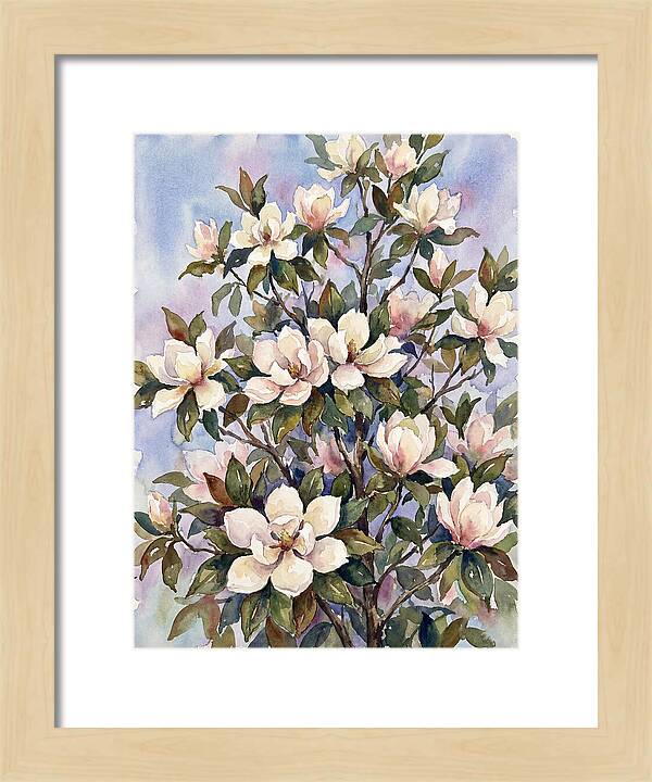 Magnolia Blossoms In Bloom