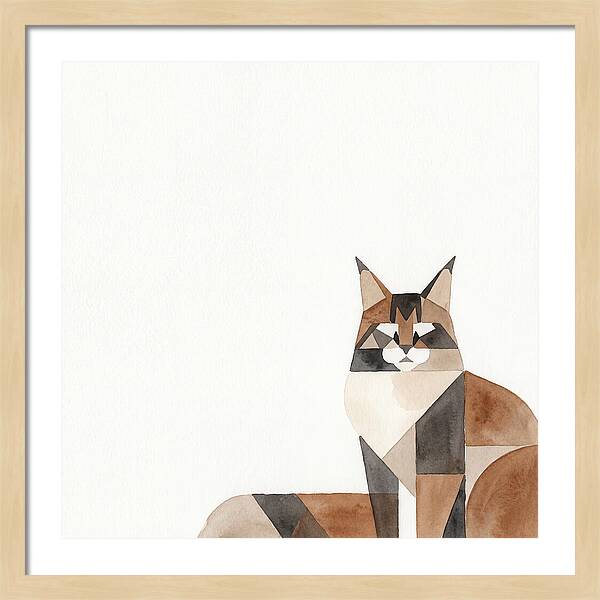 Maine Coon Minimalist