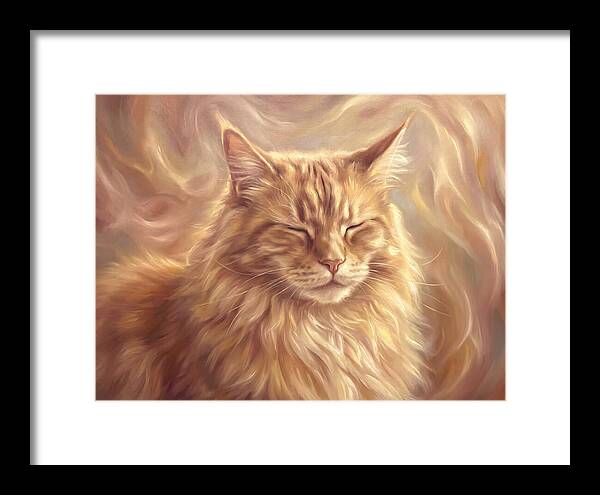 Maine Coon Serenity