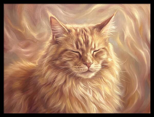 Maine Coon Serenity