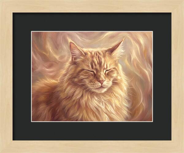 Maine Coon Serenity