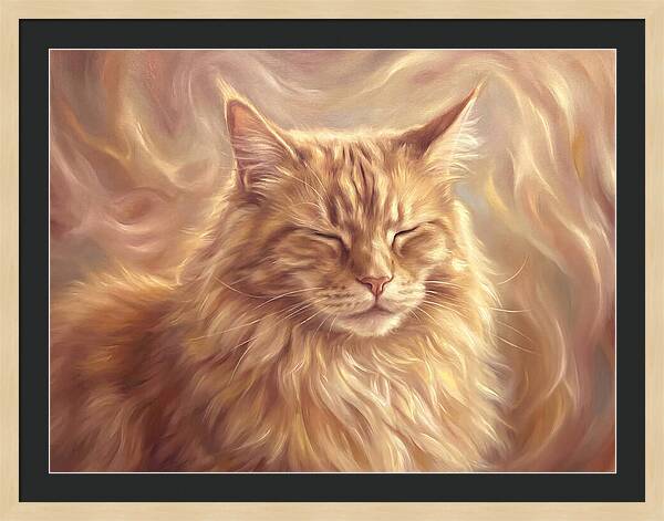 Maine Coon Serenity
