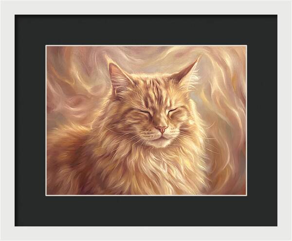 Maine Coon Serenity
