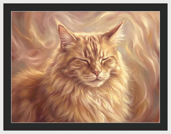 Maine Coon Serenity