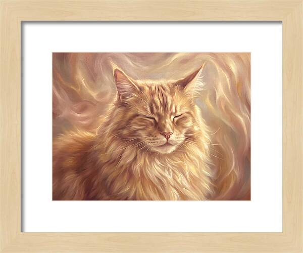 Maine Coon Serenity