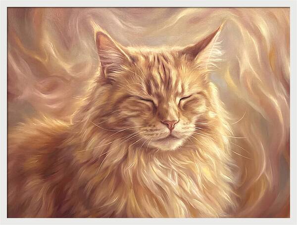Maine Coon Serenity