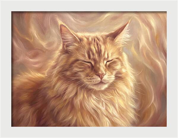 Maine Coon Serenity