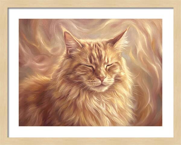 Maine Coon Serenity