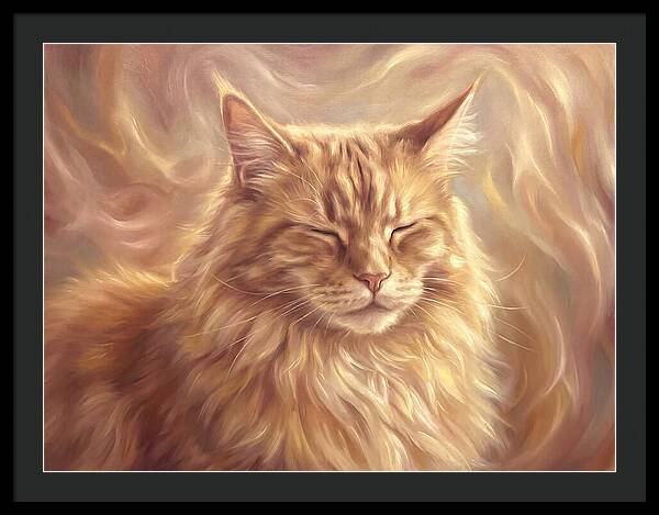 Maine Coon Serenity