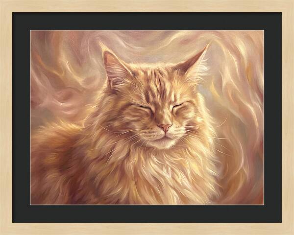 Maine Coon Serenity