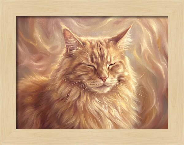 Maine Coon Serenity