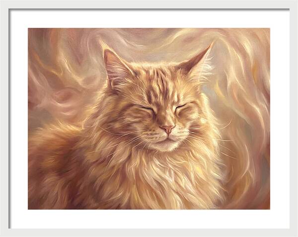 Maine Coon Serenity