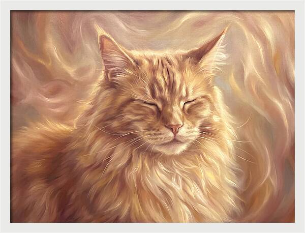 Maine Coon Serenity