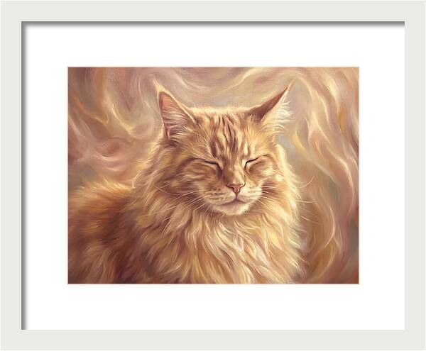 Maine Coon Serenity