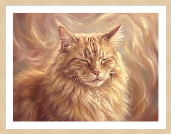 Maine Coon Serenity