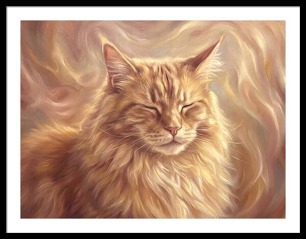 Maine Coon Serenity