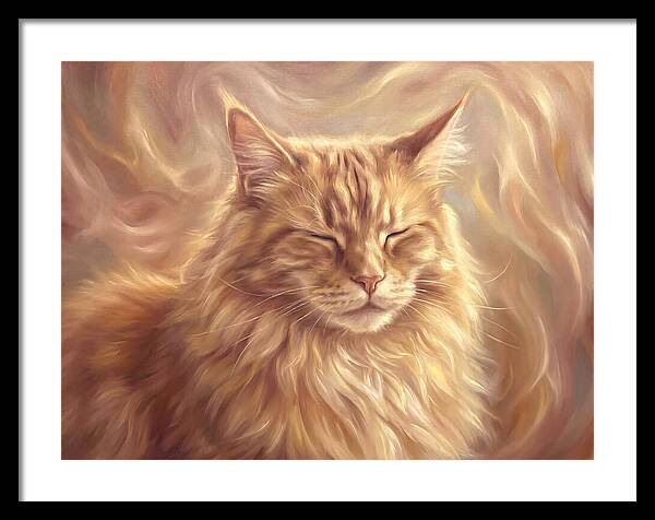 Maine Coon Serenity