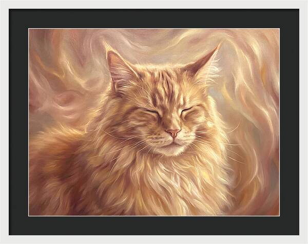 Maine Coon Serenity