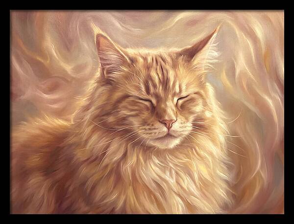 Maine Coon Serenity