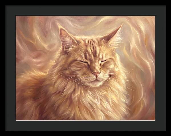 Maine Coon Serenity