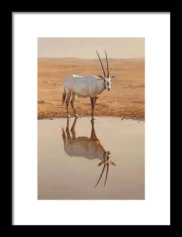 Majestic Arabian Oryx Reflection