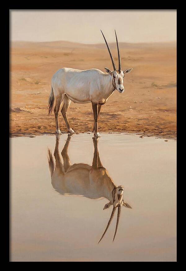 Majestic Arabian Oryx Reflection