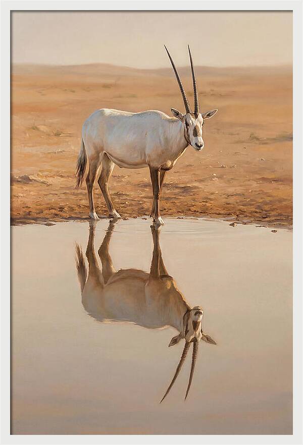 Majestic Arabian Oryx Reflection