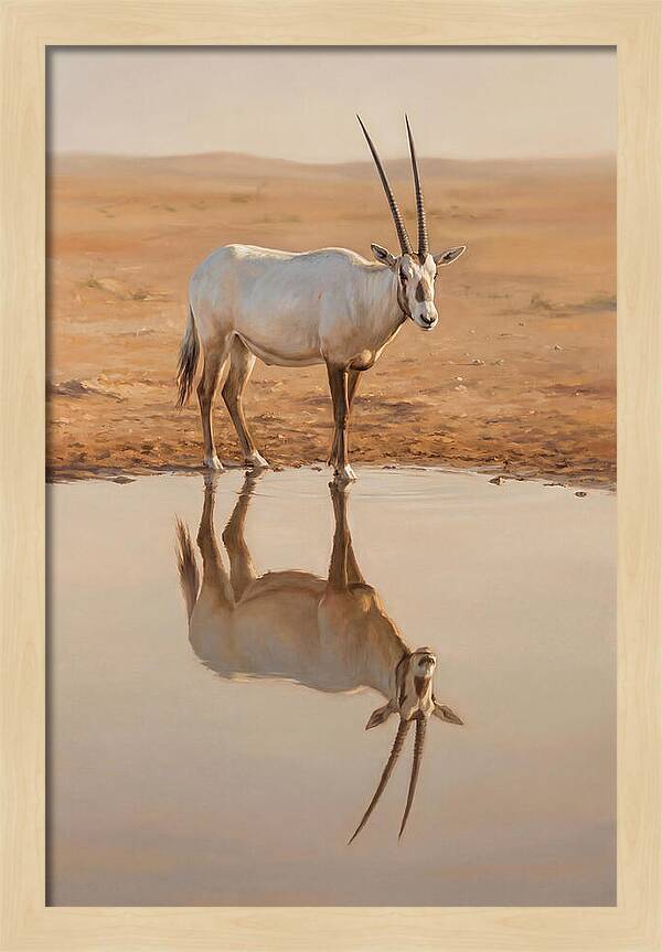 Majestic Arabian Oryx Reflection