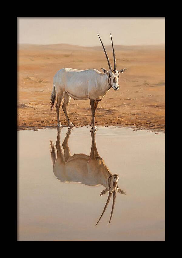 Majestic Arabian Oryx Reflection