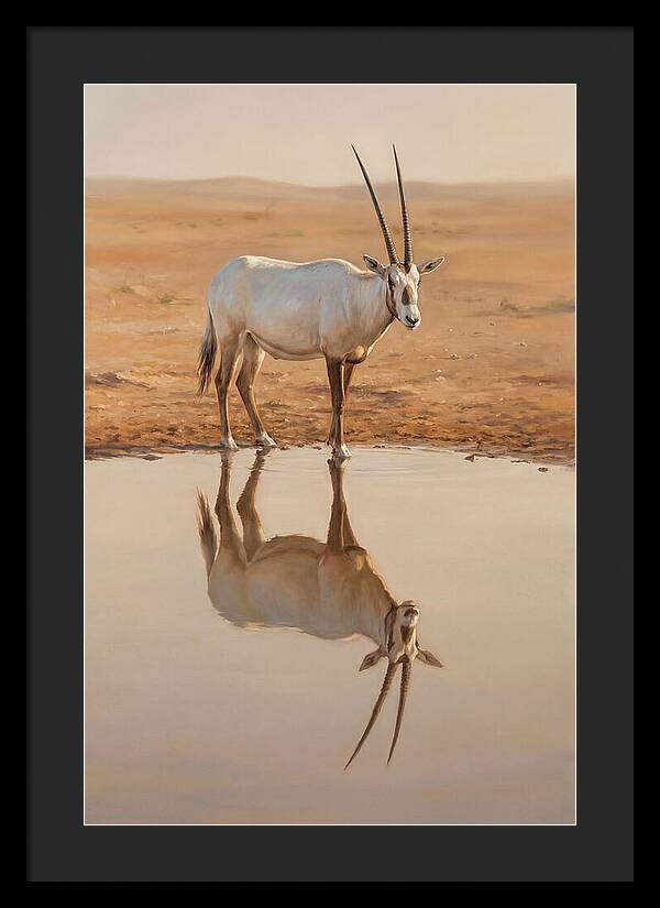 Majestic Arabian Oryx Reflection