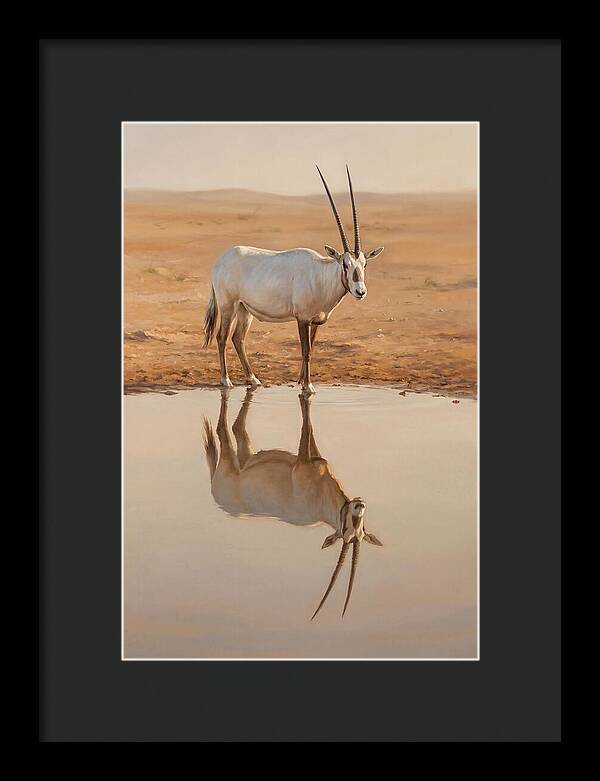 Majestic Arabian Oryx Reflection