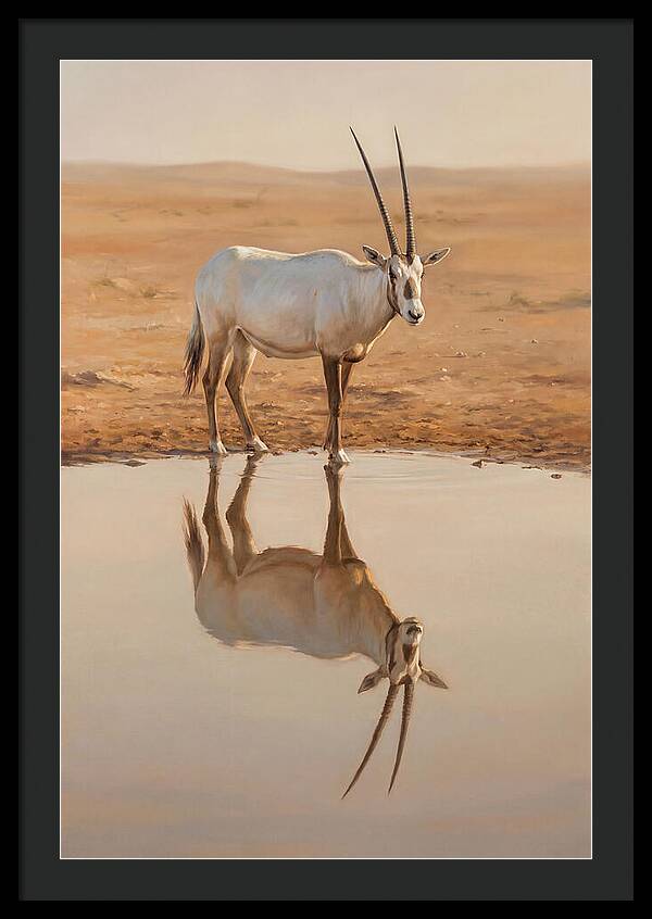 Majestic Arabian Oryx Reflection