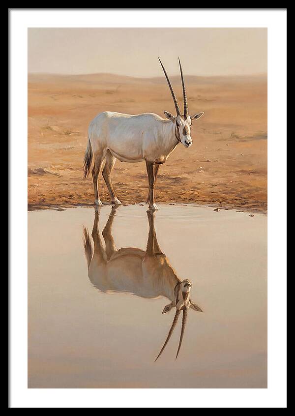 Majestic Arabian Oryx Reflection