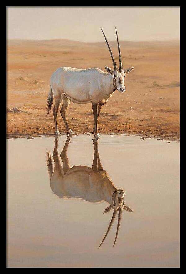 Majestic Arabian Oryx Reflection