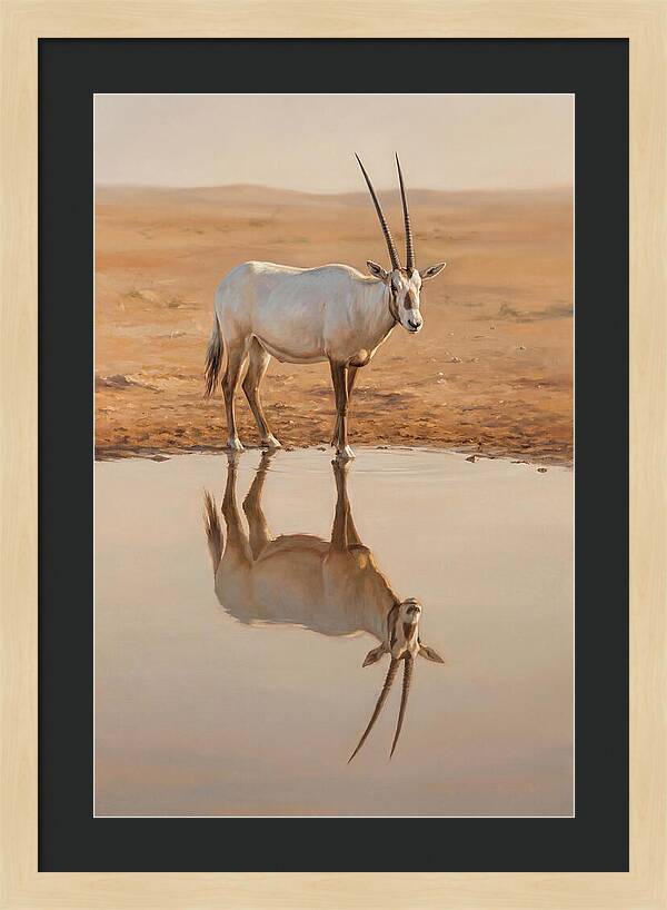 Majestic Arabian Oryx Reflection