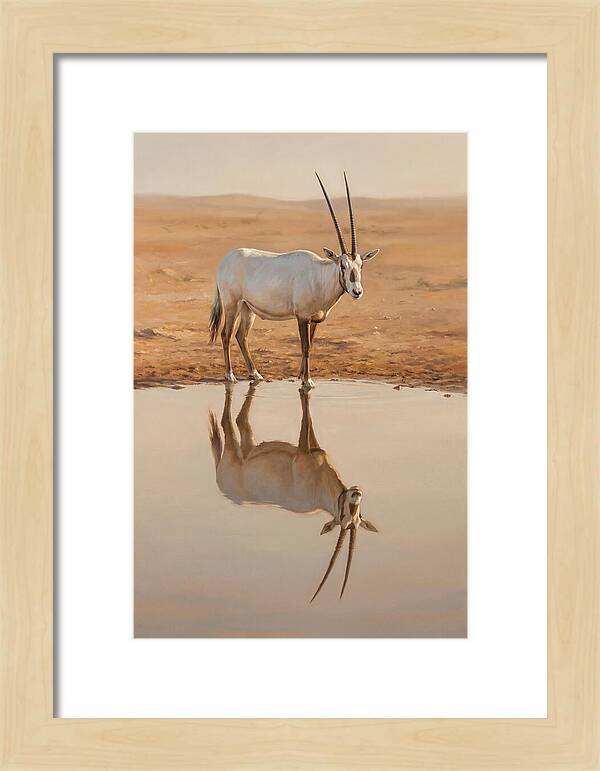 Majestic Arabian Oryx Reflection