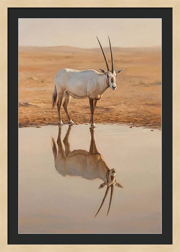 Majestic Arabian Oryx Reflection