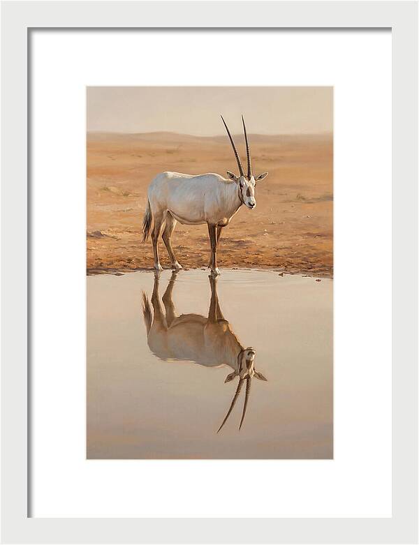 Majestic Arabian Oryx Reflection